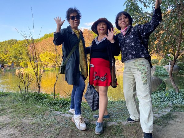 崇善里地方觀摩！中社彩色海芋日式禪風賞落羽松一日遊