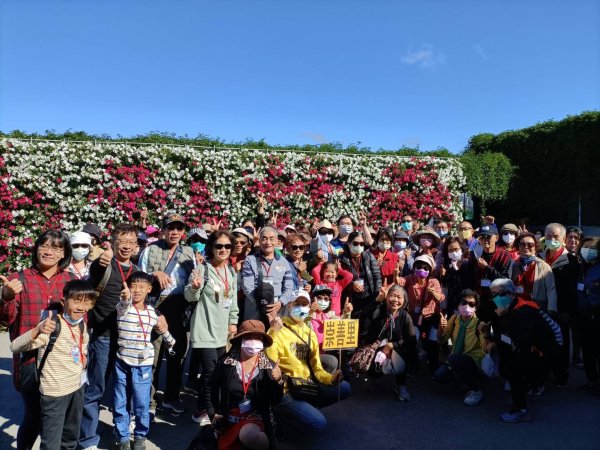 崇善里地方觀摩！中社彩色海芋日式禪風賞落羽松一日遊