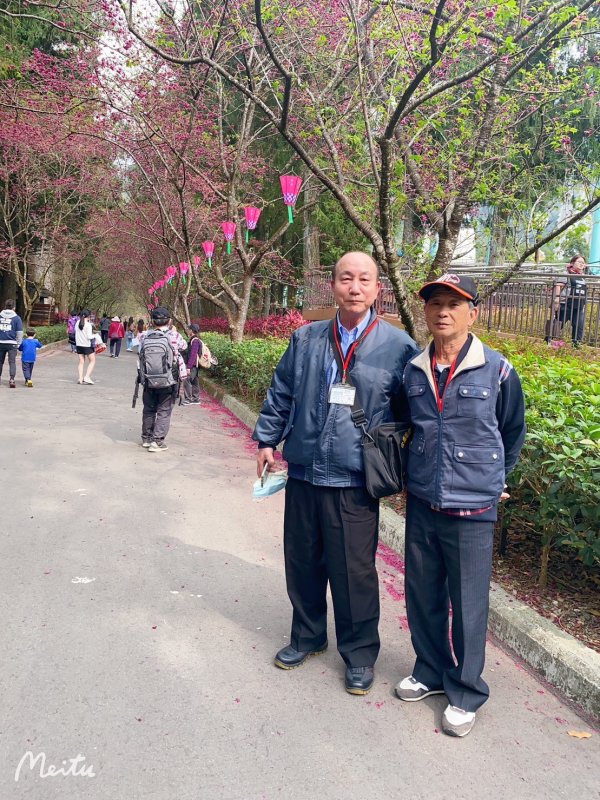 崇善里地方觀摩-九族櫻花祭一日遊