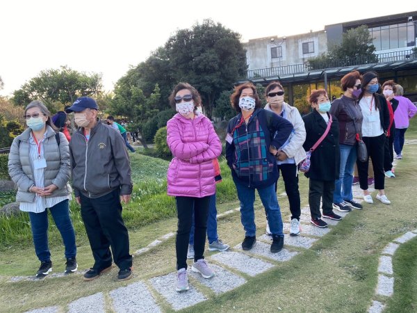崇善里地方觀摩！中社彩色海芋日式禪風賞落羽松一日遊