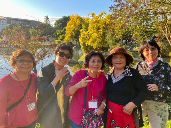 崇善里地方觀摩！中社彩色海芋日式禪風賞落羽松一日遊