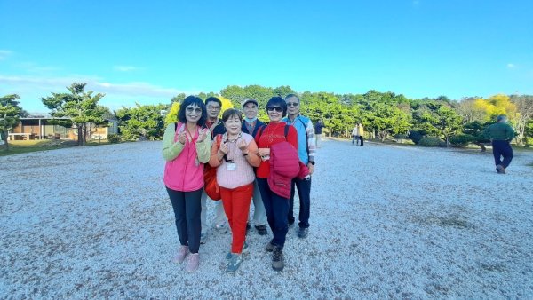崇善里地方觀摩！中社彩色海芋日式禪風賞落羽松一日遊