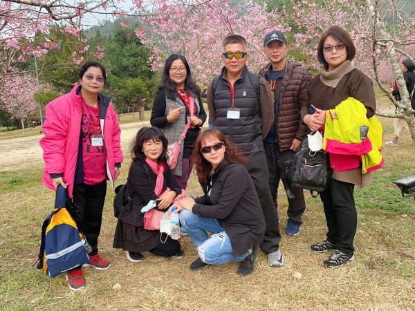 崇善里地方觀摩-九族櫻花祭一日遊