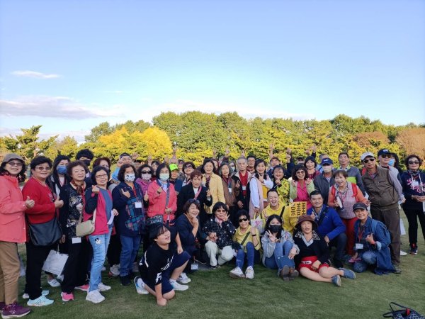 崇善里地方觀摩！中社彩色海芋日式禪風賞落羽松一日遊