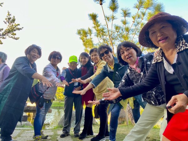 崇善里地方觀摩！中社彩色海芋日式禪風賞落羽松一日遊