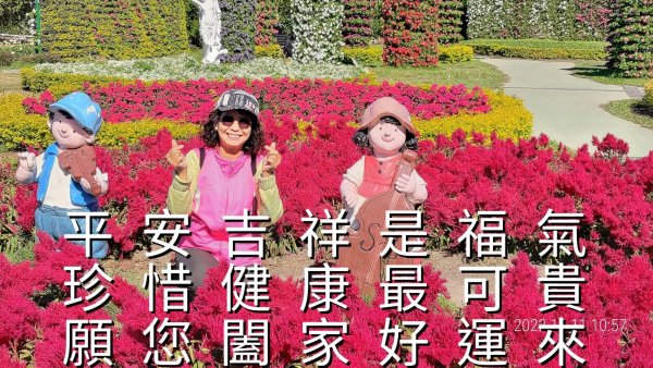 崇善里地方觀摩！中社彩色海芋日式禪風賞落羽松一日遊