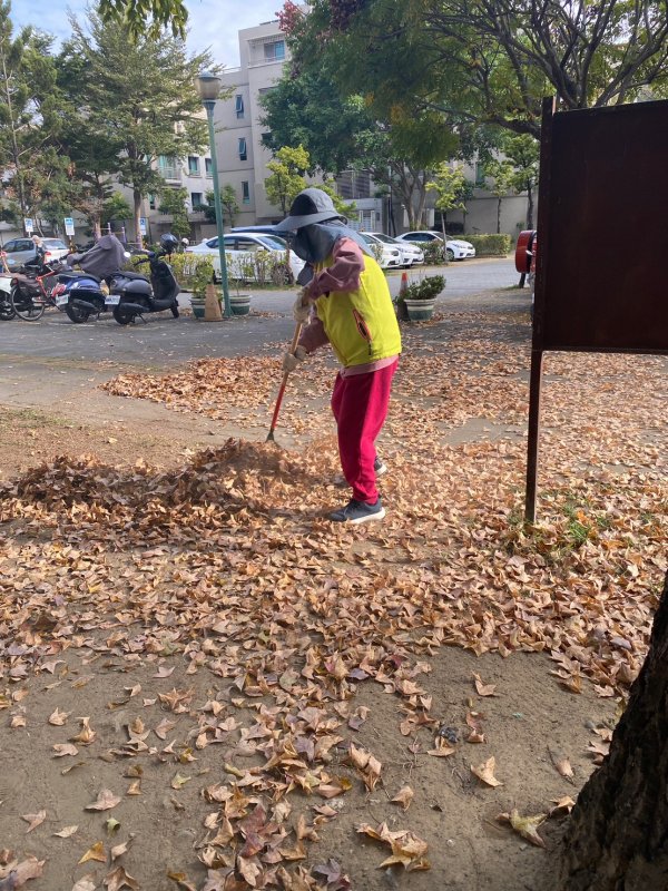 崇善里環保志工年後環境大清掃