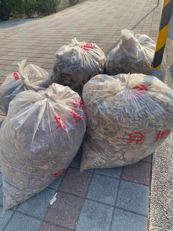 崇善里環保志工三月環境大清掃