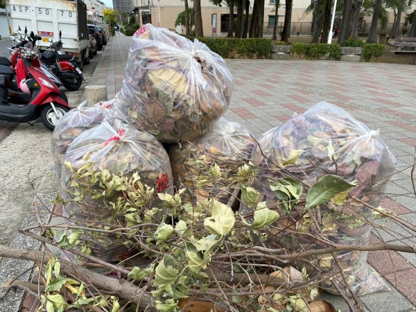 崇善里環保志工年後環境大清掃