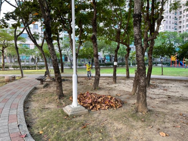 崇善公園、仁和公園10月份環境清潔