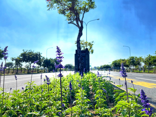 迎新春 臺南市街頭花漾弄清風為春節走春提供視覺響宴