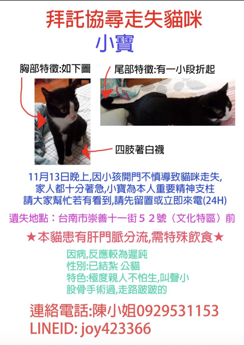崇善里陳小姐尋貓啟事-拜託協尋走失貓咪小寶