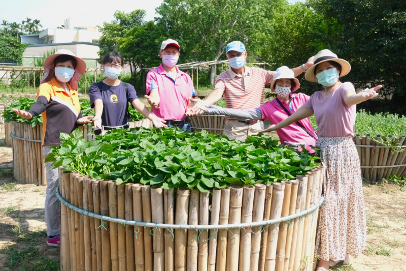 【落葉不裝袋，環保新世代】-枝葉園圃不彎腰菜園實作